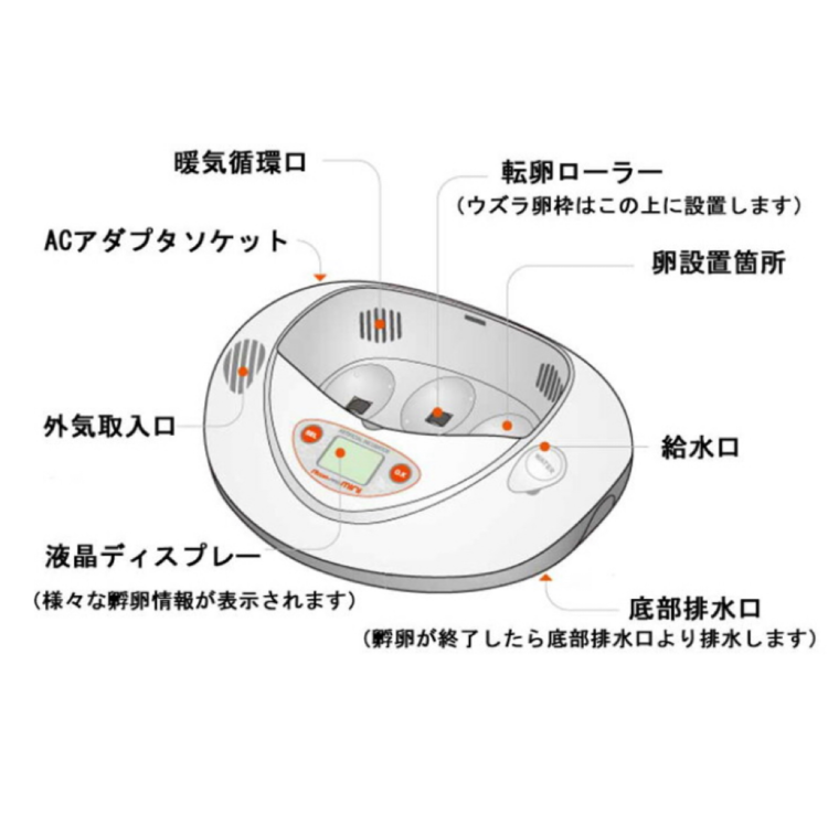 リトルママ 小型自動孵卵器(ウズラ、ヒメウズラなどの孵化にどうぞ