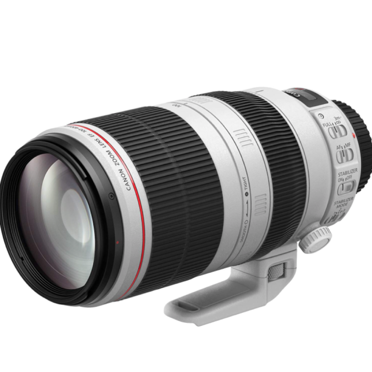 canon EF100-400mm F4.5-5.6L IS USM