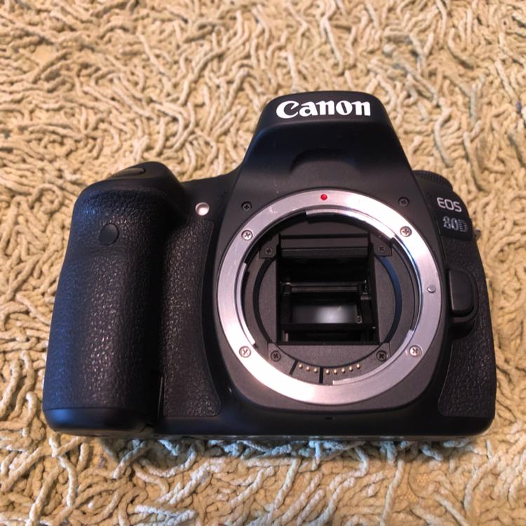 Canonデジタル一眼レフカメラ EOS 80D レンズ2個付